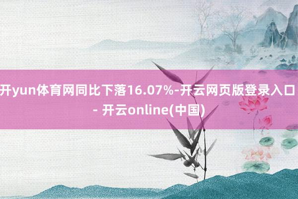 开yun体育网同比下落16.07%-开云网页版登录入口 - 开云online(中国)
